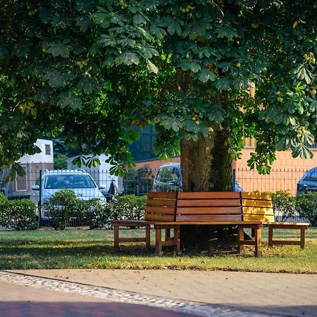 Pferdeparadies Untergruenhagen Bad Fallingbostel Extérieur photo