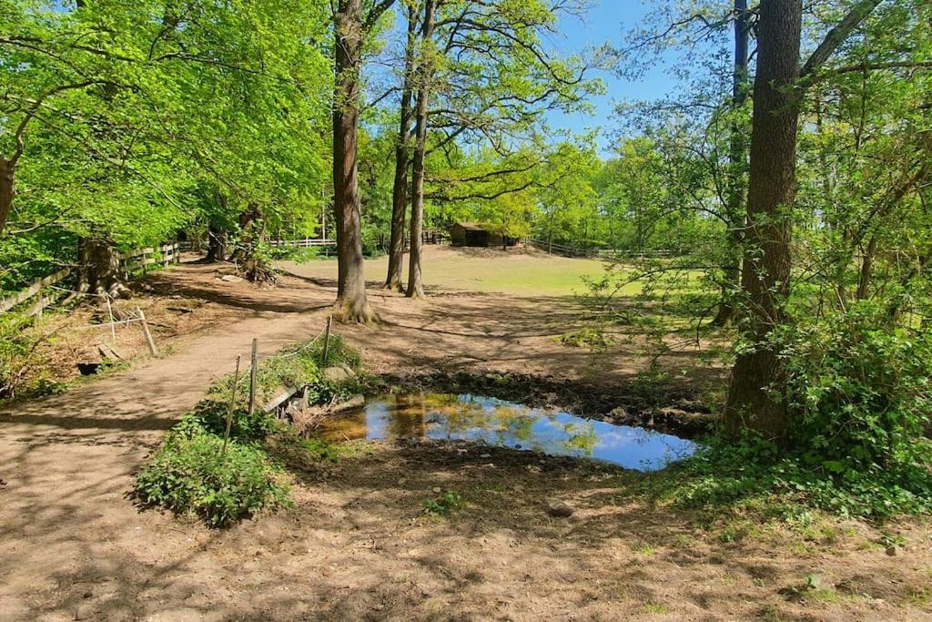 Pferdeparadies Untergruenhagen Bad Fallingbostel Extérieur photo