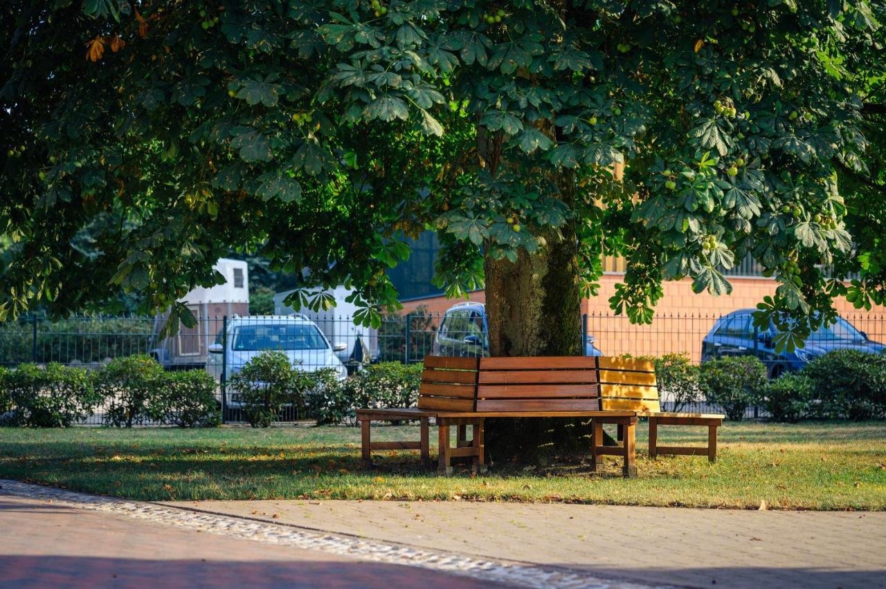 Pferdeparadies Untergruenhagen Bad Fallingbostel Extérieur photo
